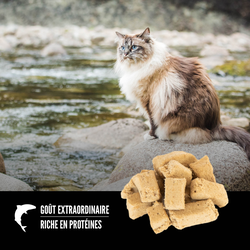 null - Product thumbnail 3.0